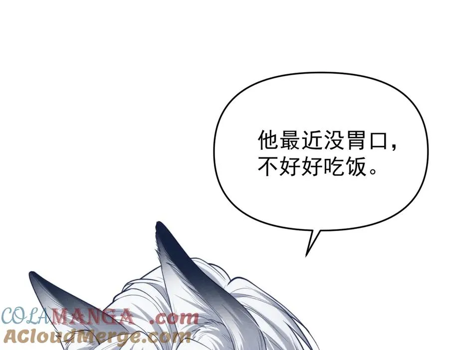 第31话 投喂猫猫 第37页