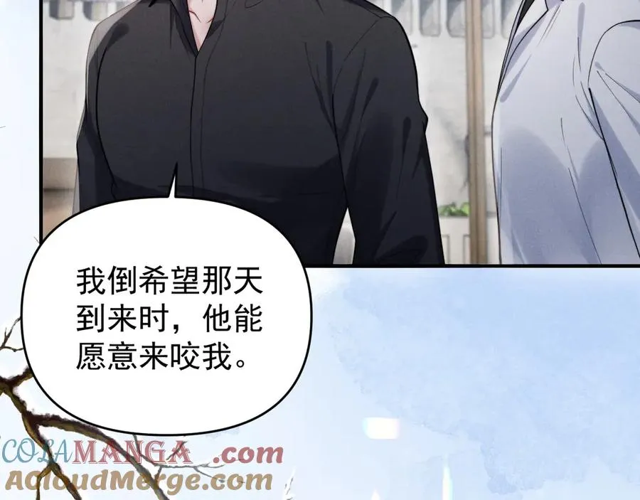 第31话 投喂猫猫 第41页
