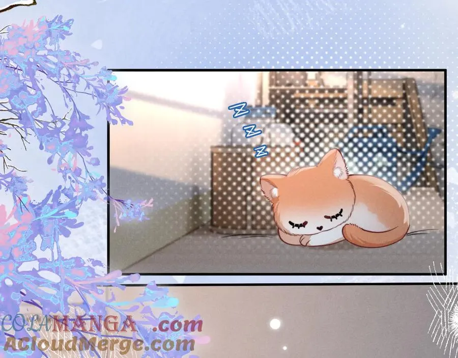 第31话 投喂猫猫 第45页