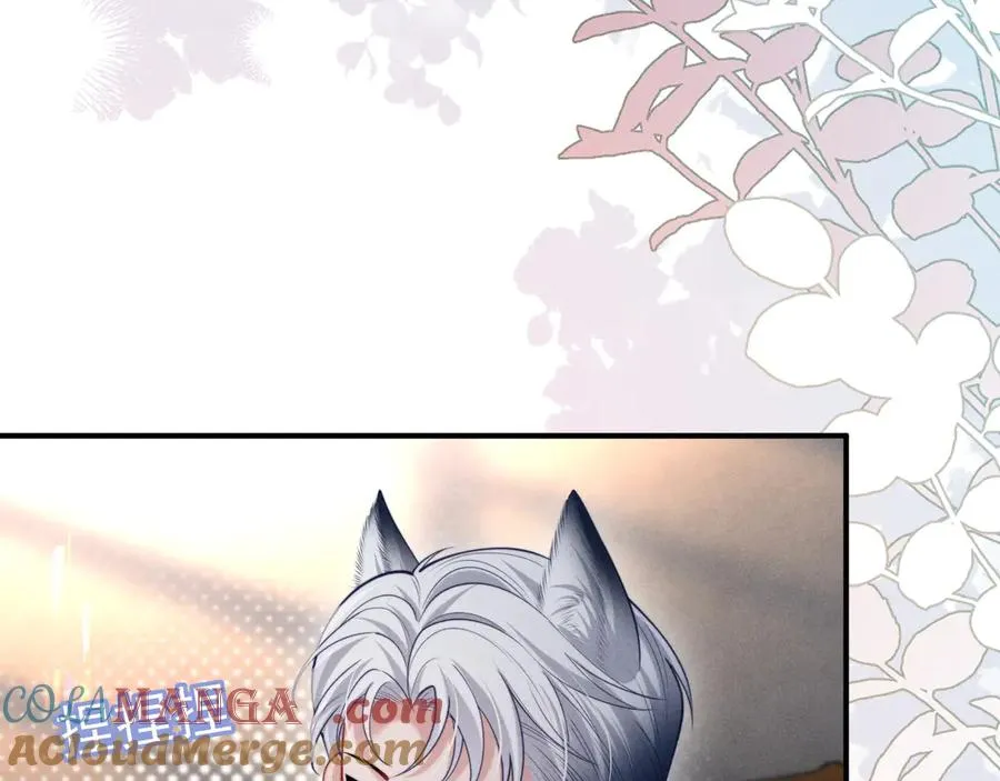第31话 投喂猫猫 第49页