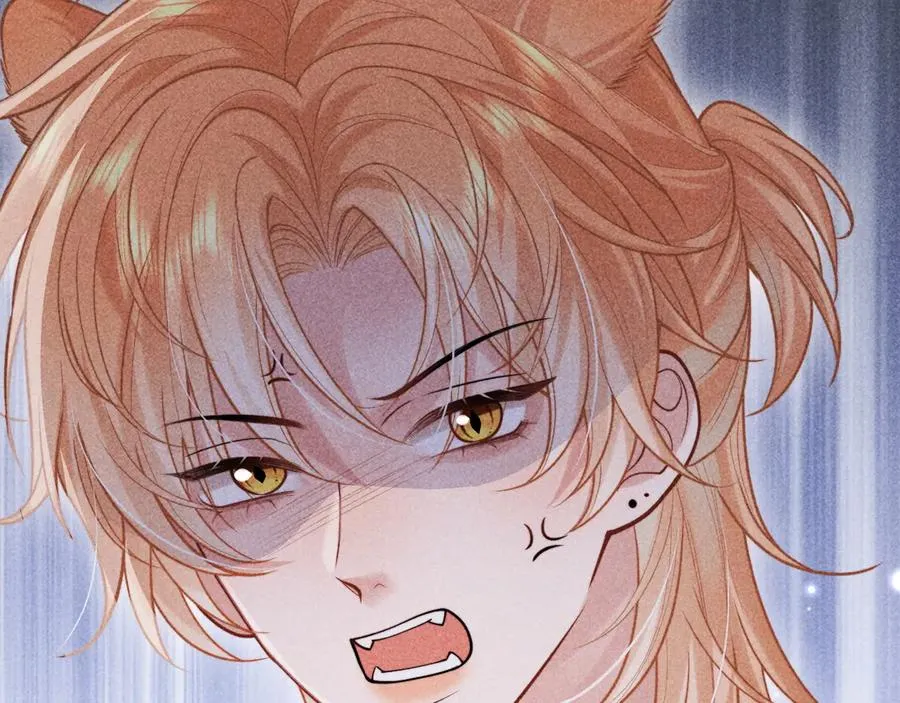 第31话 投喂猫猫 第62页
