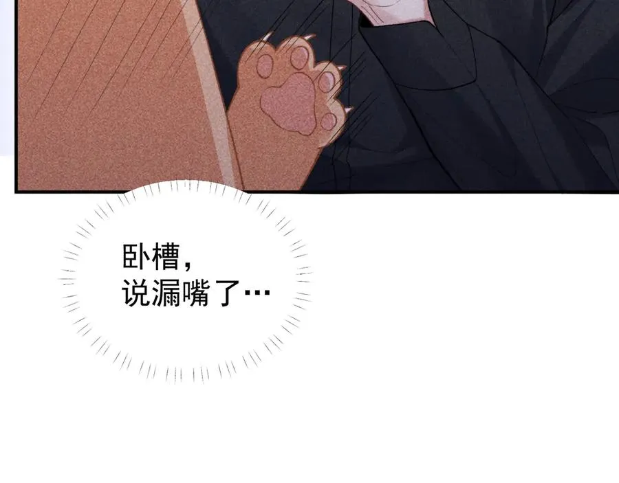 第31话 投喂猫猫 第66页