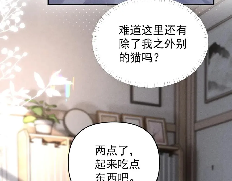 第31话 投喂猫猫 第87页