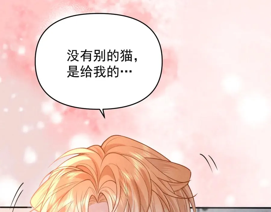 第31话 投喂猫猫 第95页