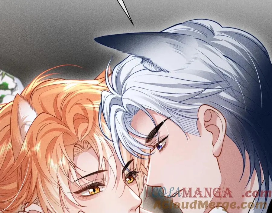 第35话 留下来吧 第85页