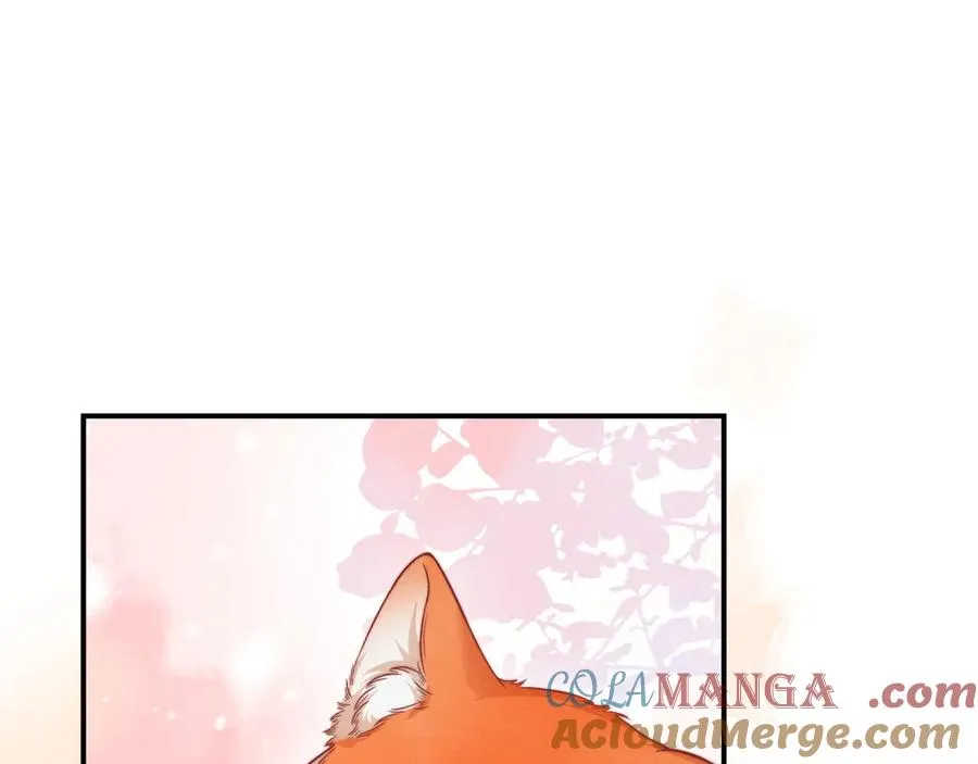 第40话 为这份礼物永久续期 第13页