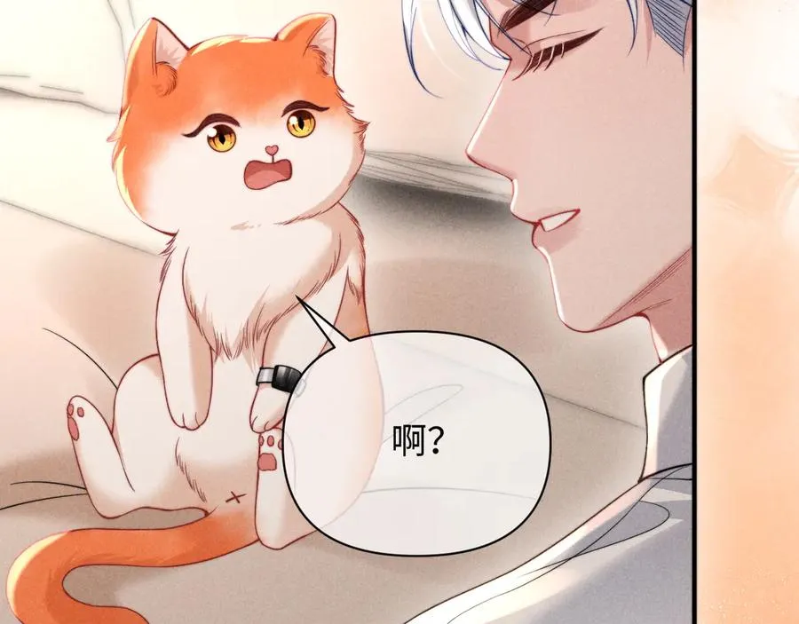 第40话 为这份礼物永久续期 第35页