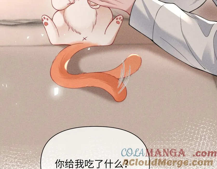 第40话 为这份礼物永久续期 第40页