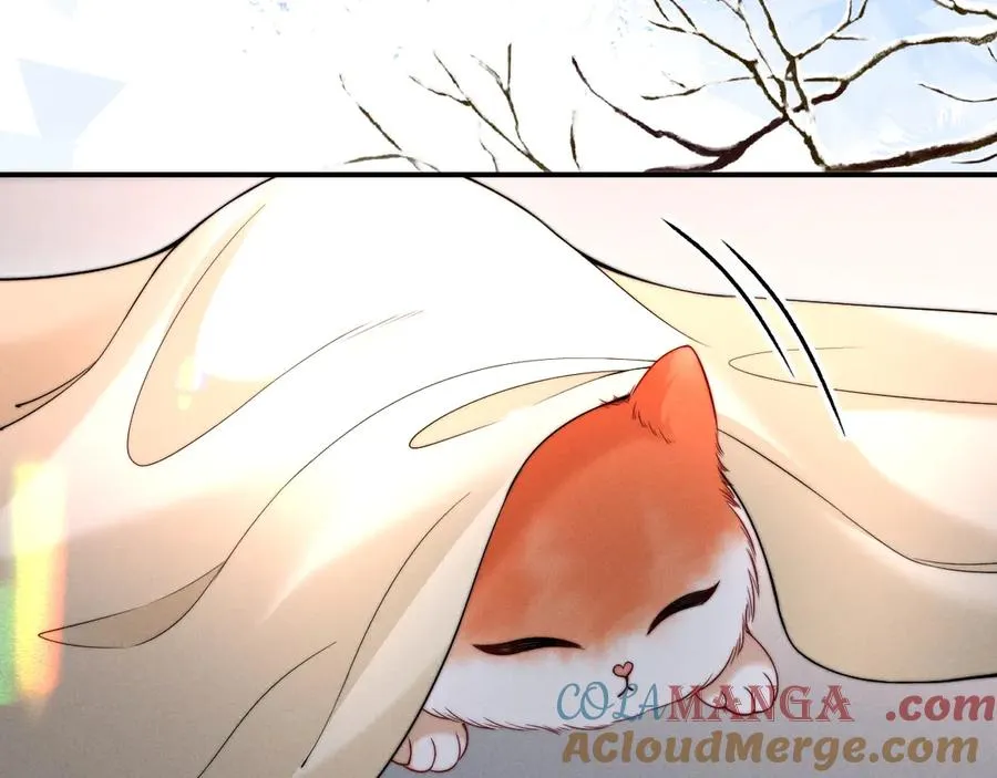 第42话 分化期 第53页