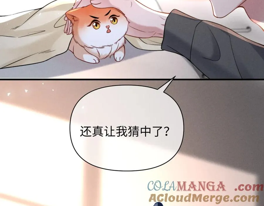 第42话 分化期 第65页