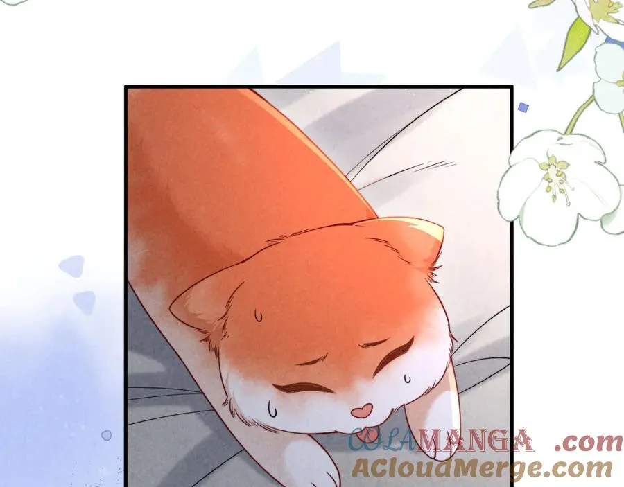 第42话 分化期 第69页