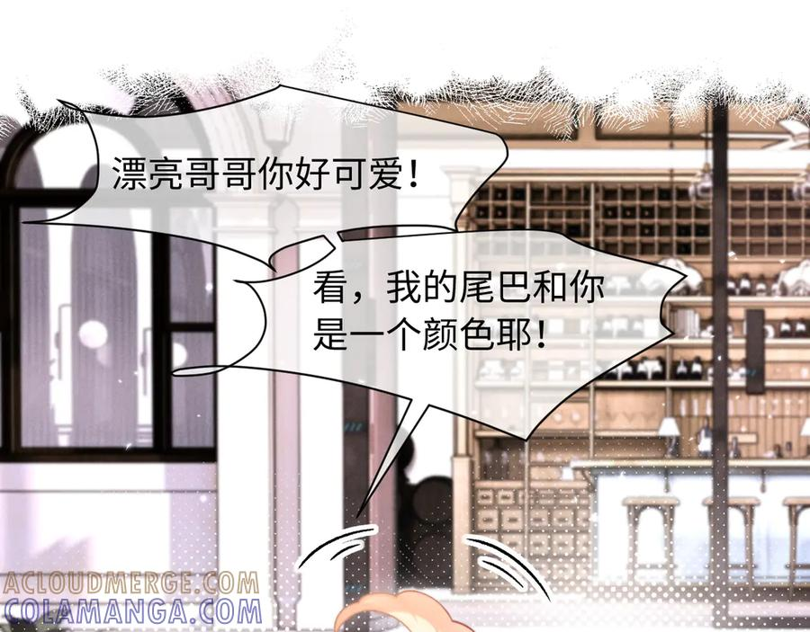 第52话 第61页