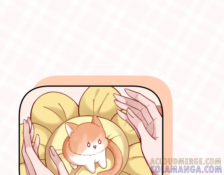 第53话 第70页