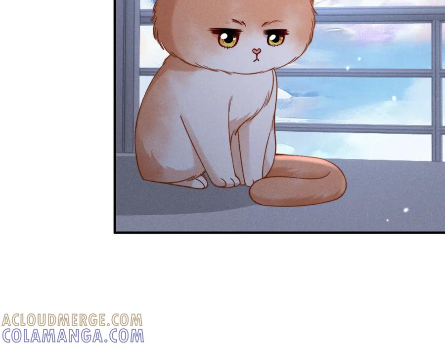第54话 第61页