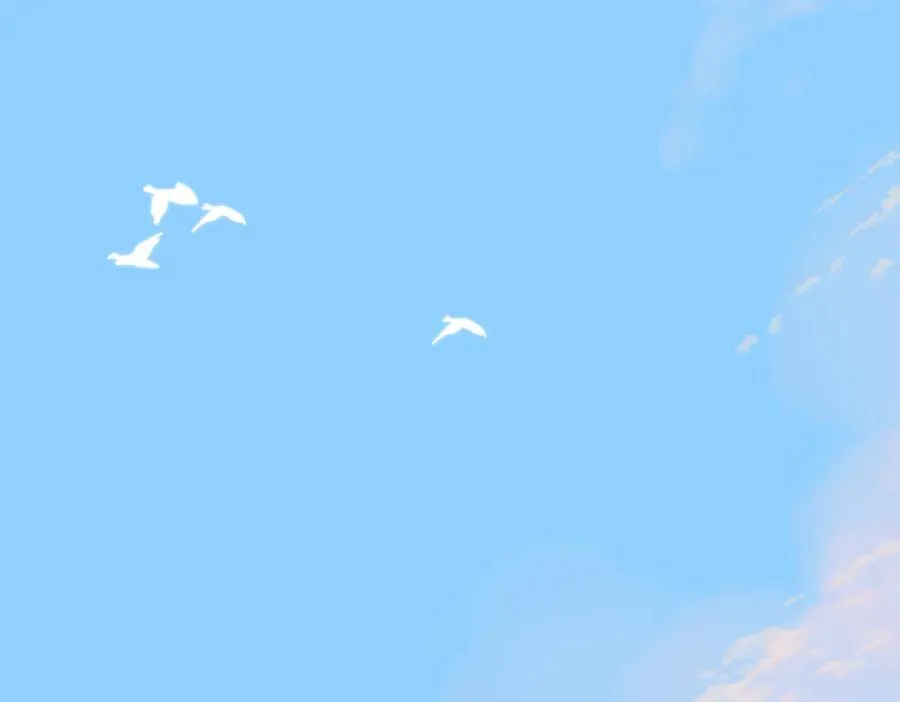 第11话 拒绝 第18页