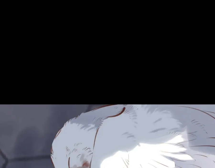 第32话 命运的礼物 第43页