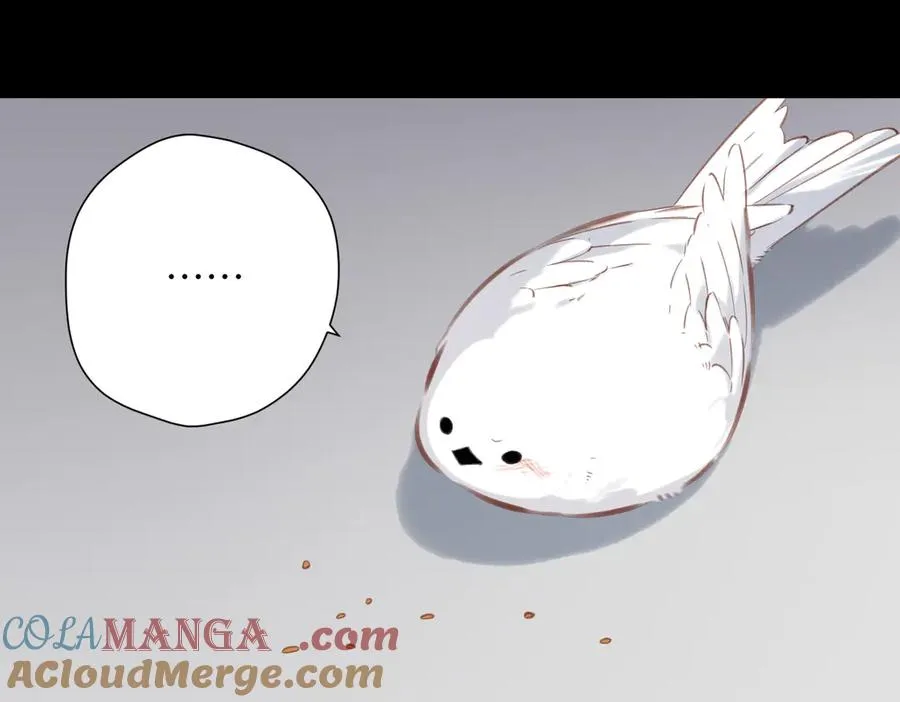 第32话 命运的礼物 第97页