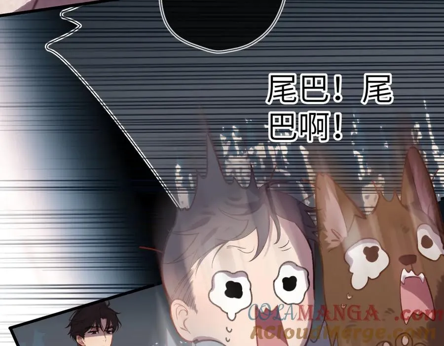 第31话 小动物 第40页