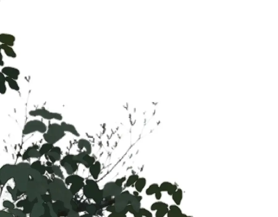 第6话 绑定 第56页