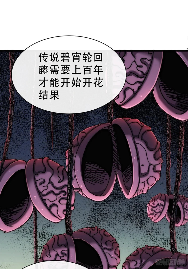 树灵 第29页