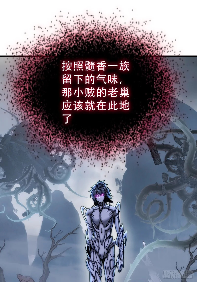 树灵 第74页