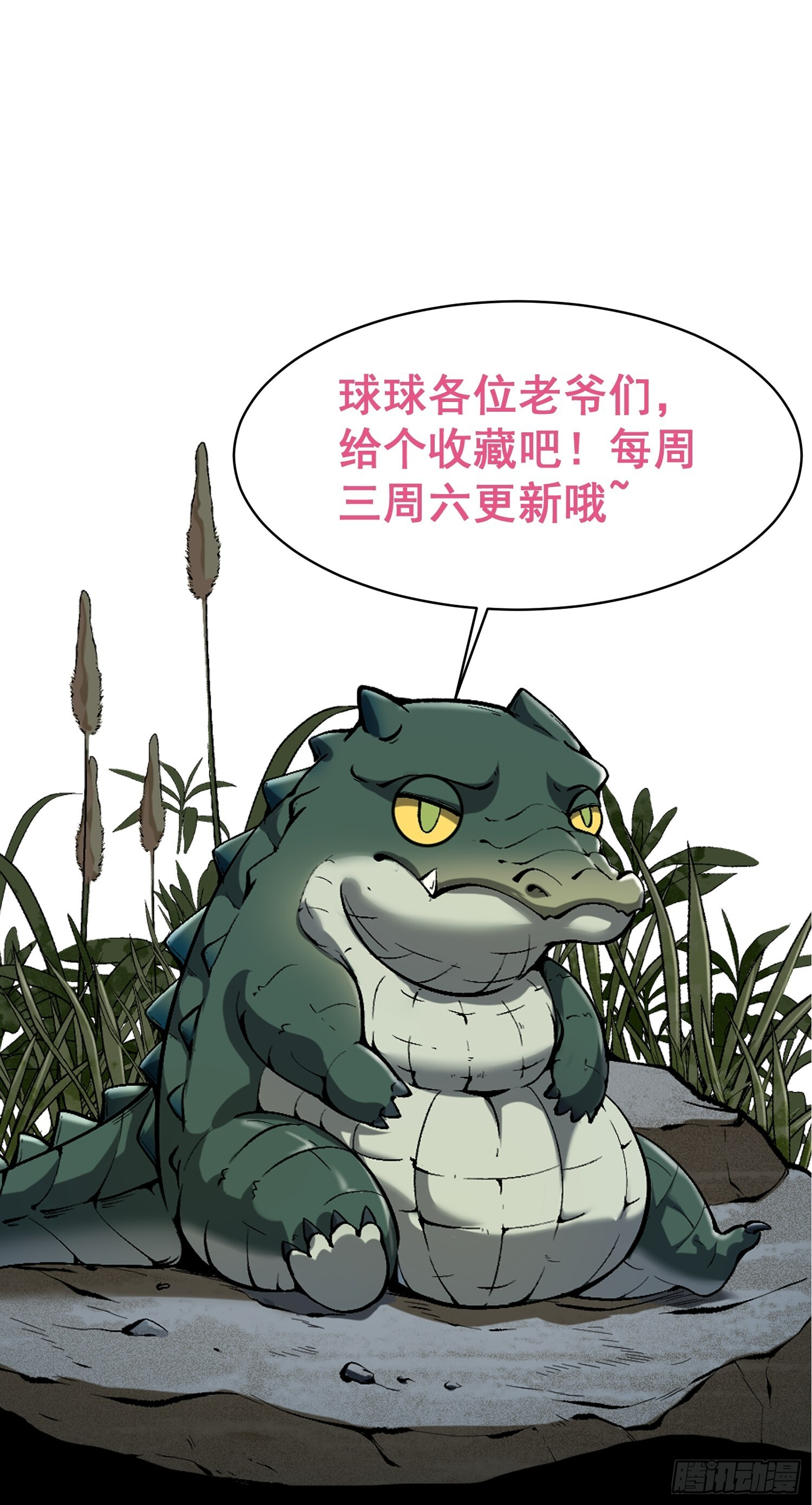 84.砗磲 第57页