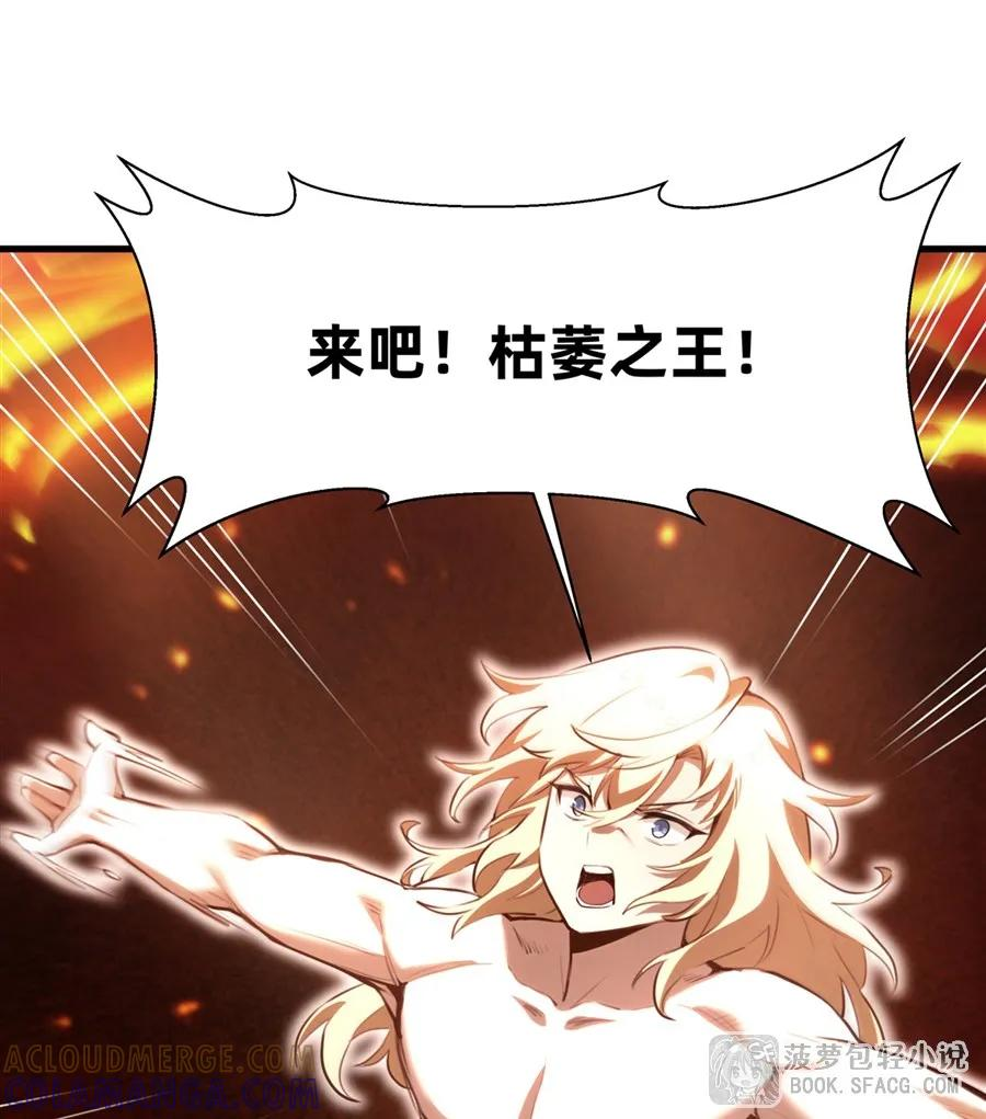 36 枯萎之王降临 第28页
