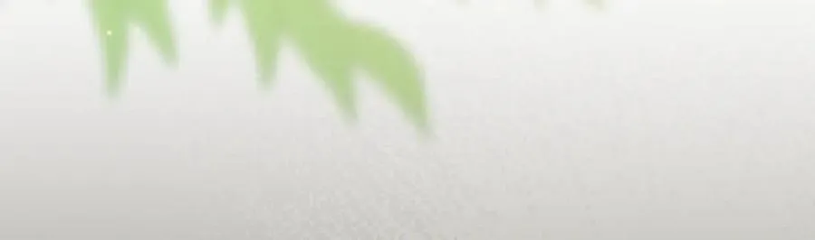 第8话 精灵王 第150页