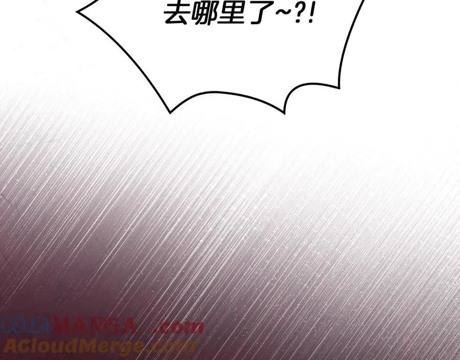 第13话 精灵石真正的主人 第185页