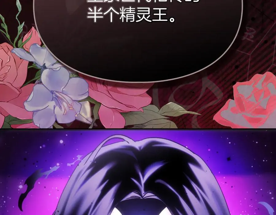 第13话 精灵石真正的主人 第206页