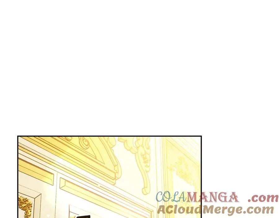 第33话 比尔塞家族的报复 第65页