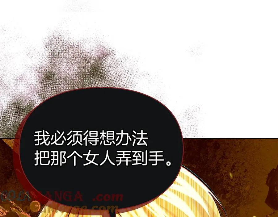 第33话 比尔塞家族的报复 第101页