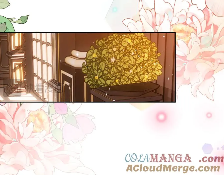 第42话 礼物 第149页