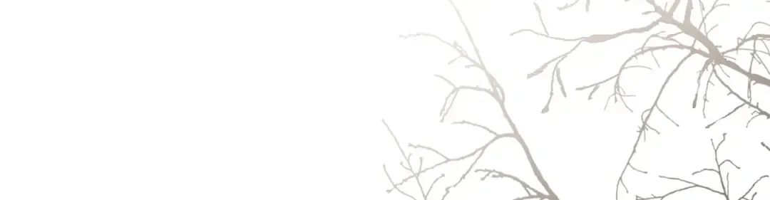 第59话 圣画的秘密 第85页