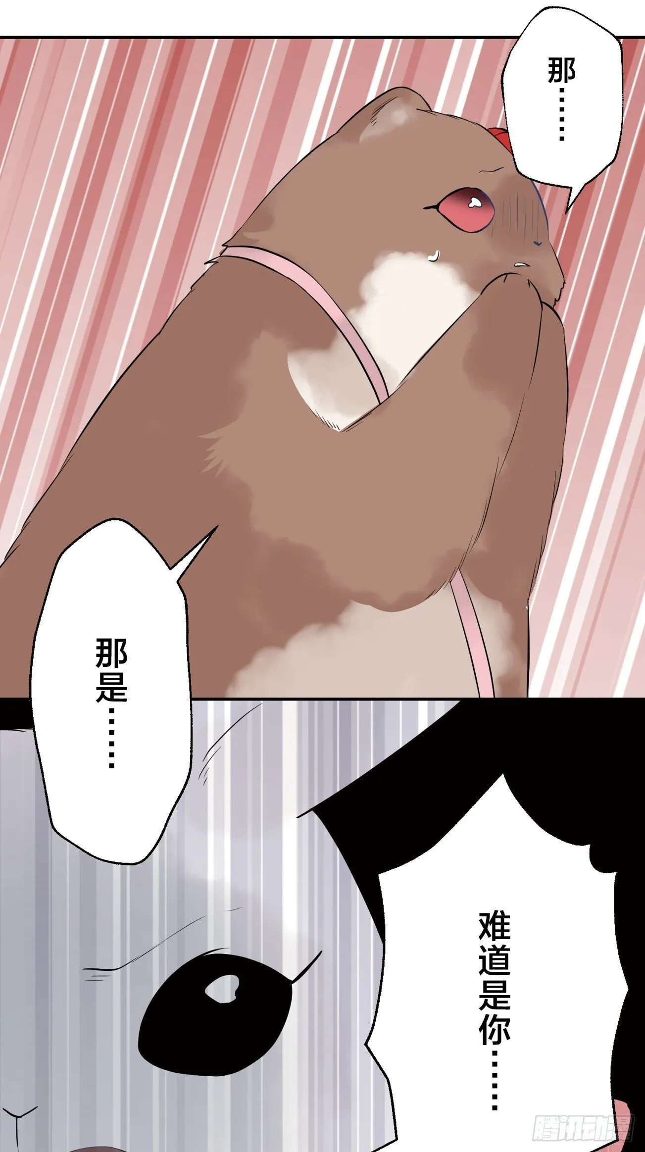 10 第15页
