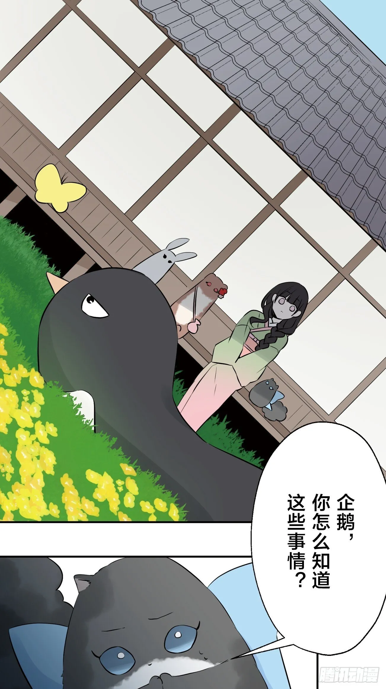 11 第5页