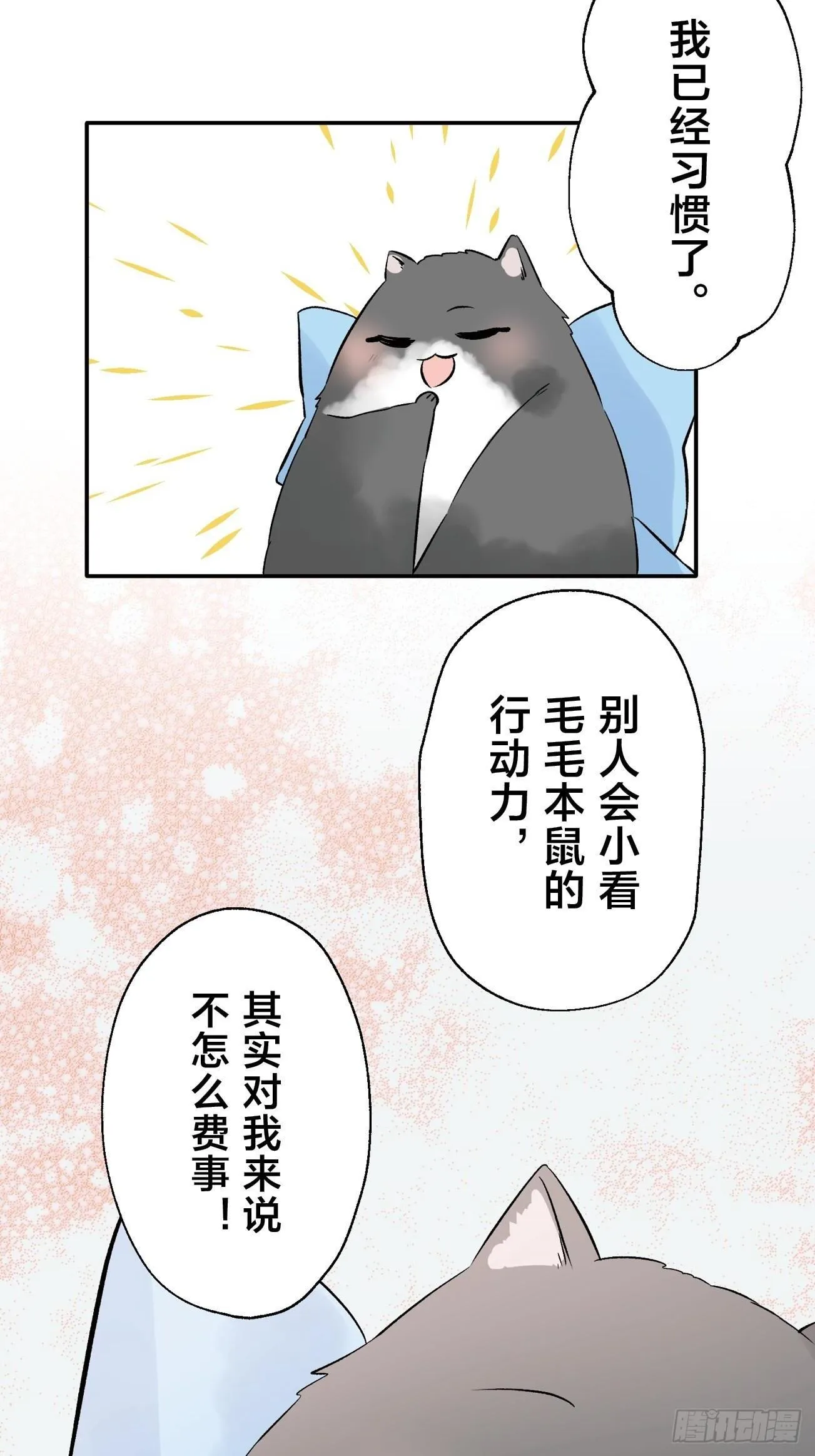 14 第6页
