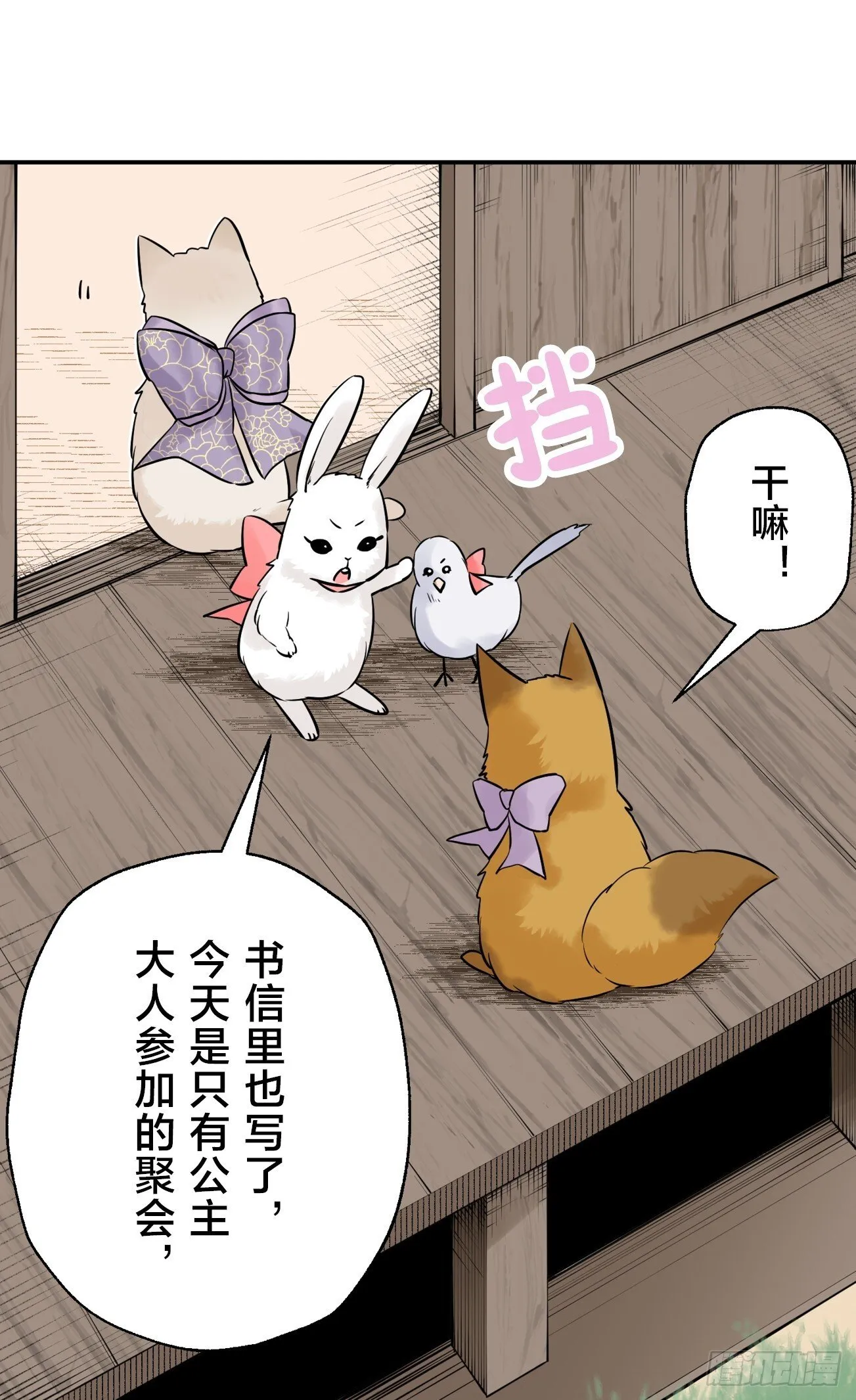 17 第5页