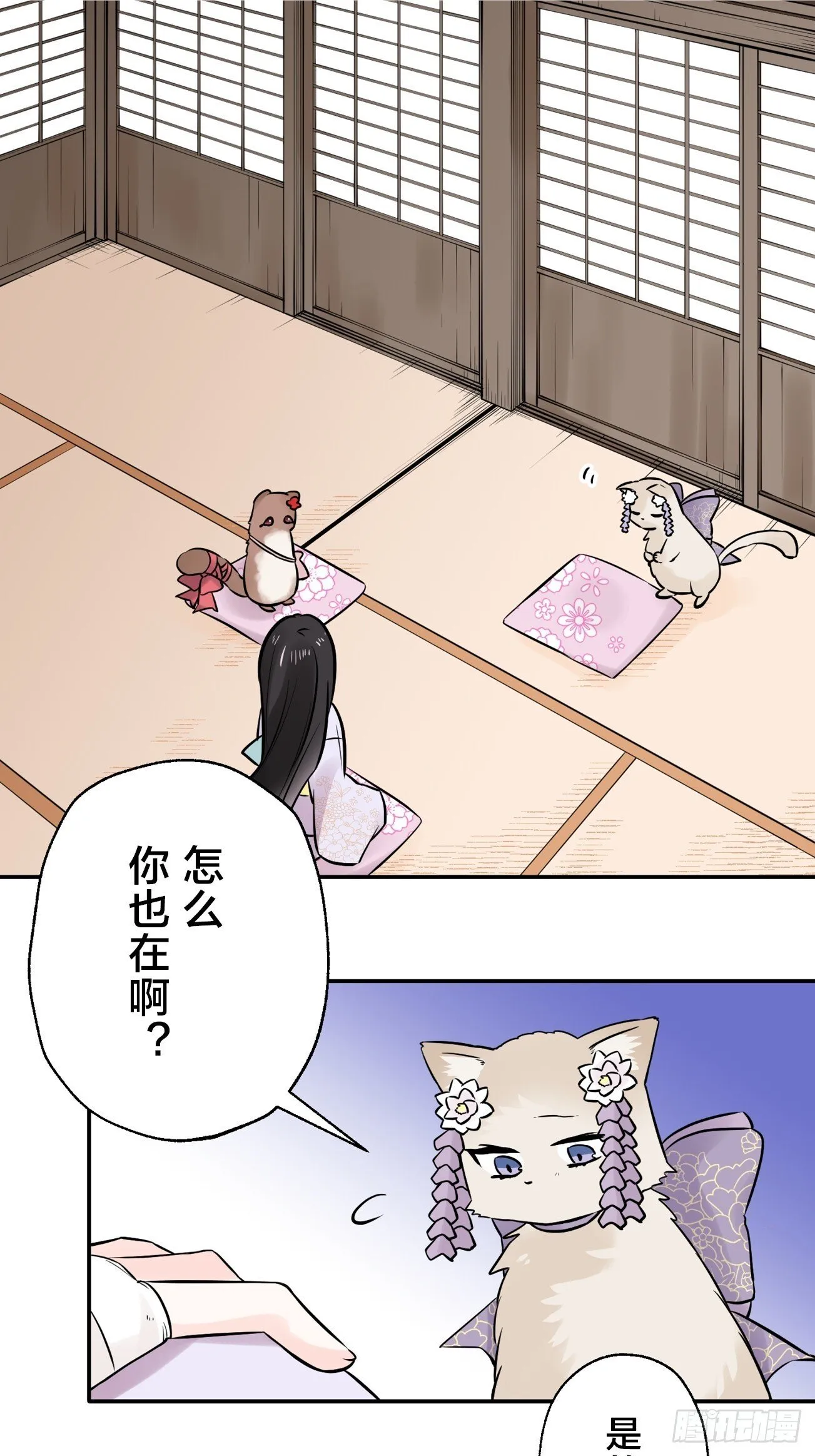17 第10页