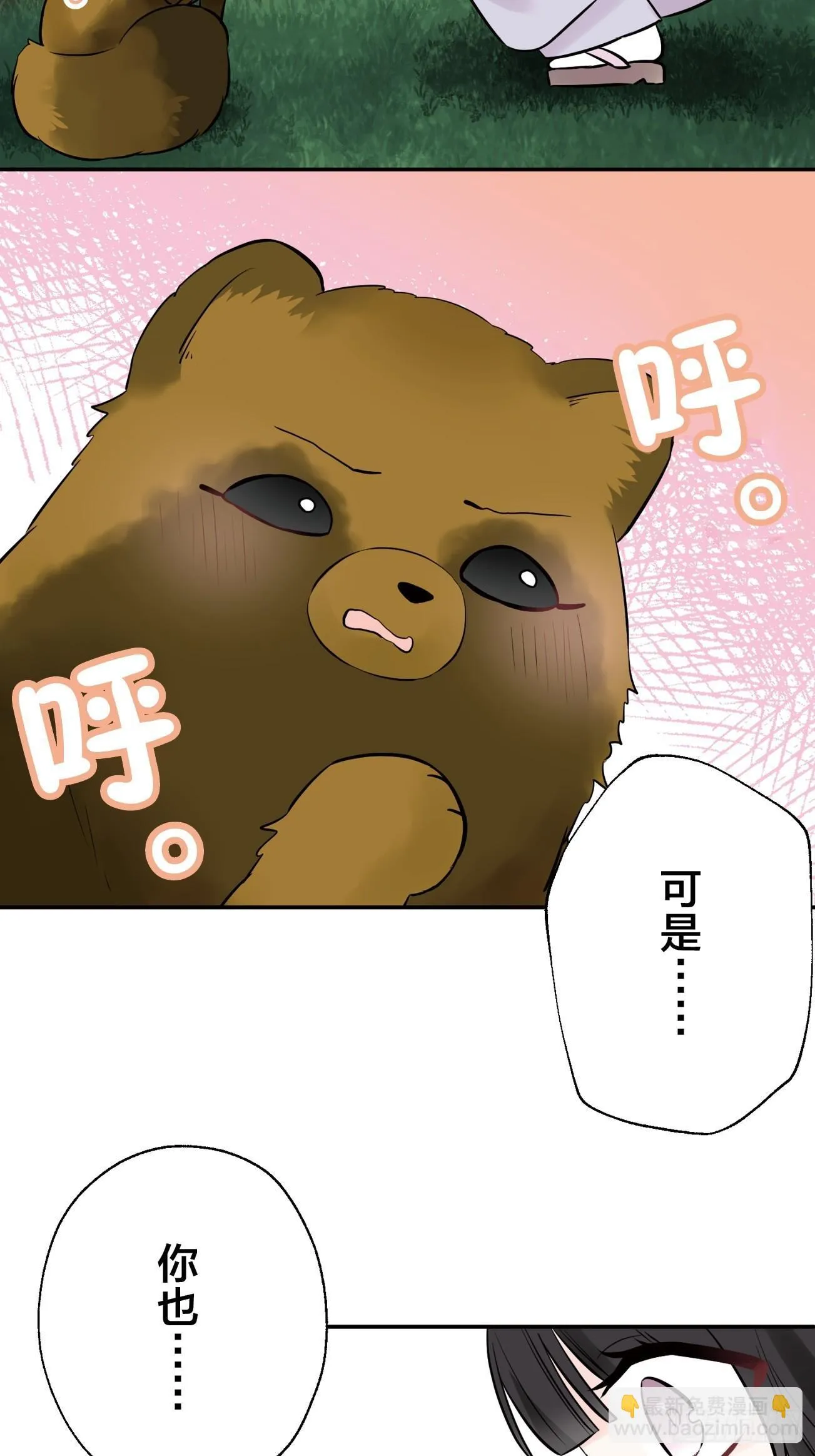 19 第37页