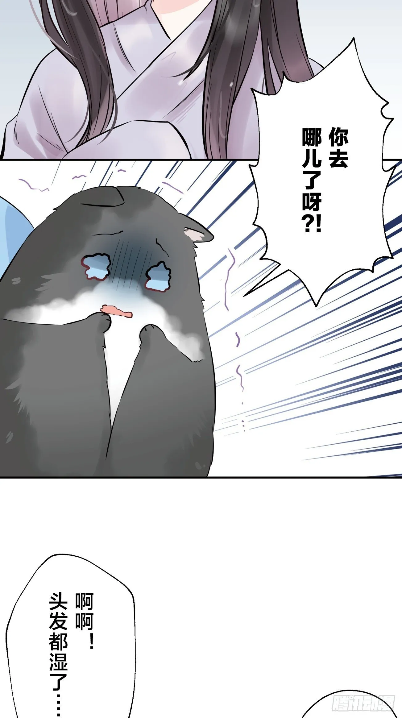 20 第3页