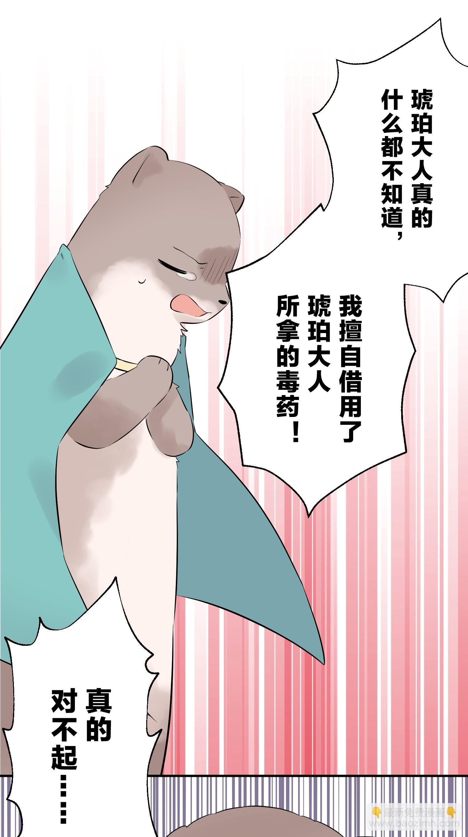 27 第6页