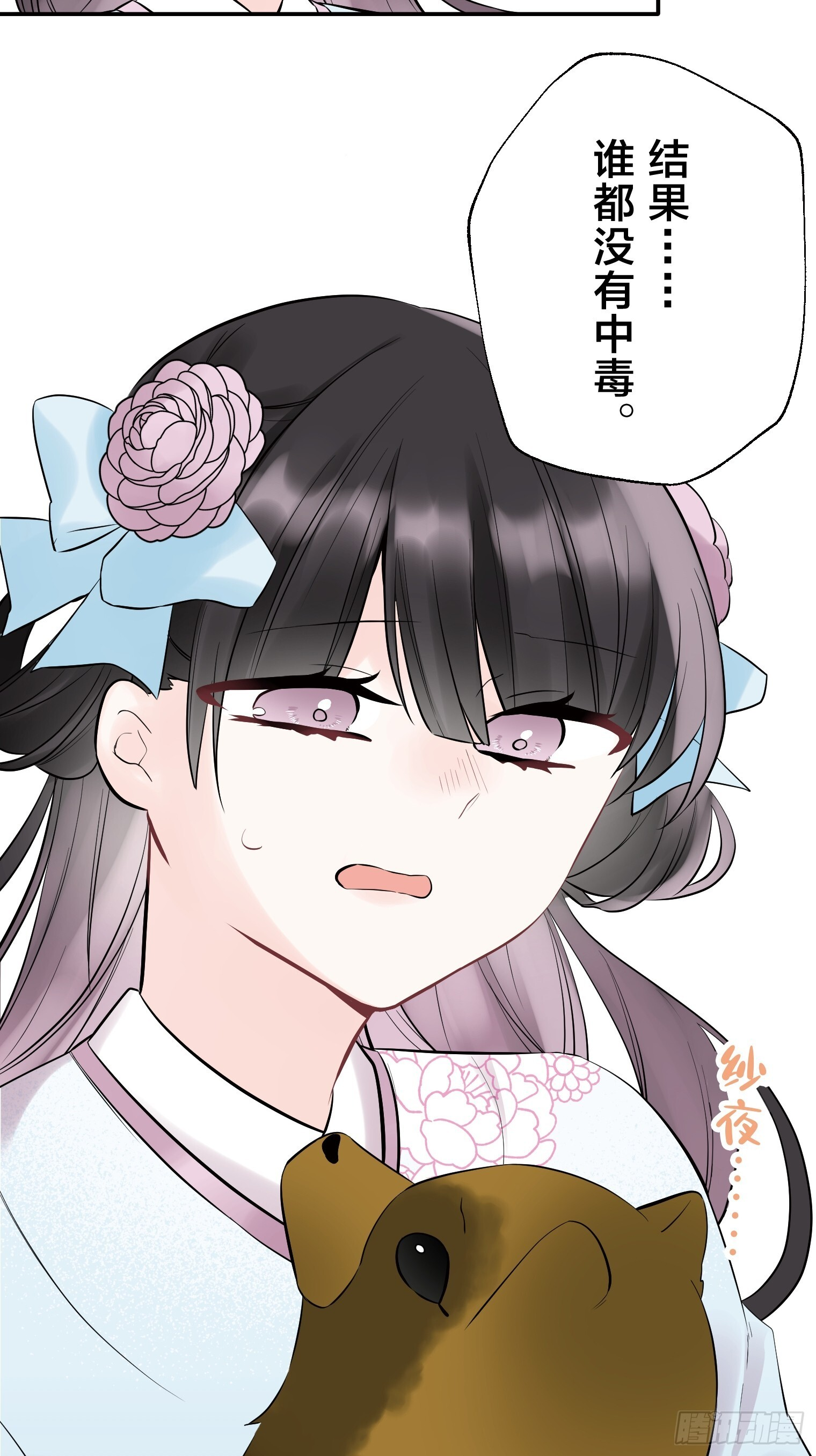 27 第8页