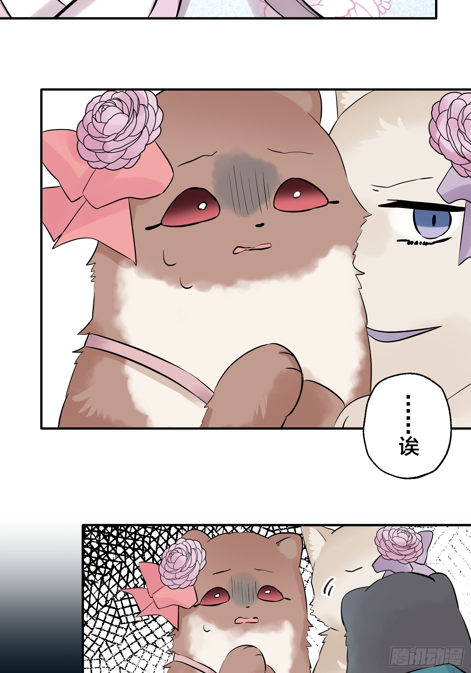 27 第11页