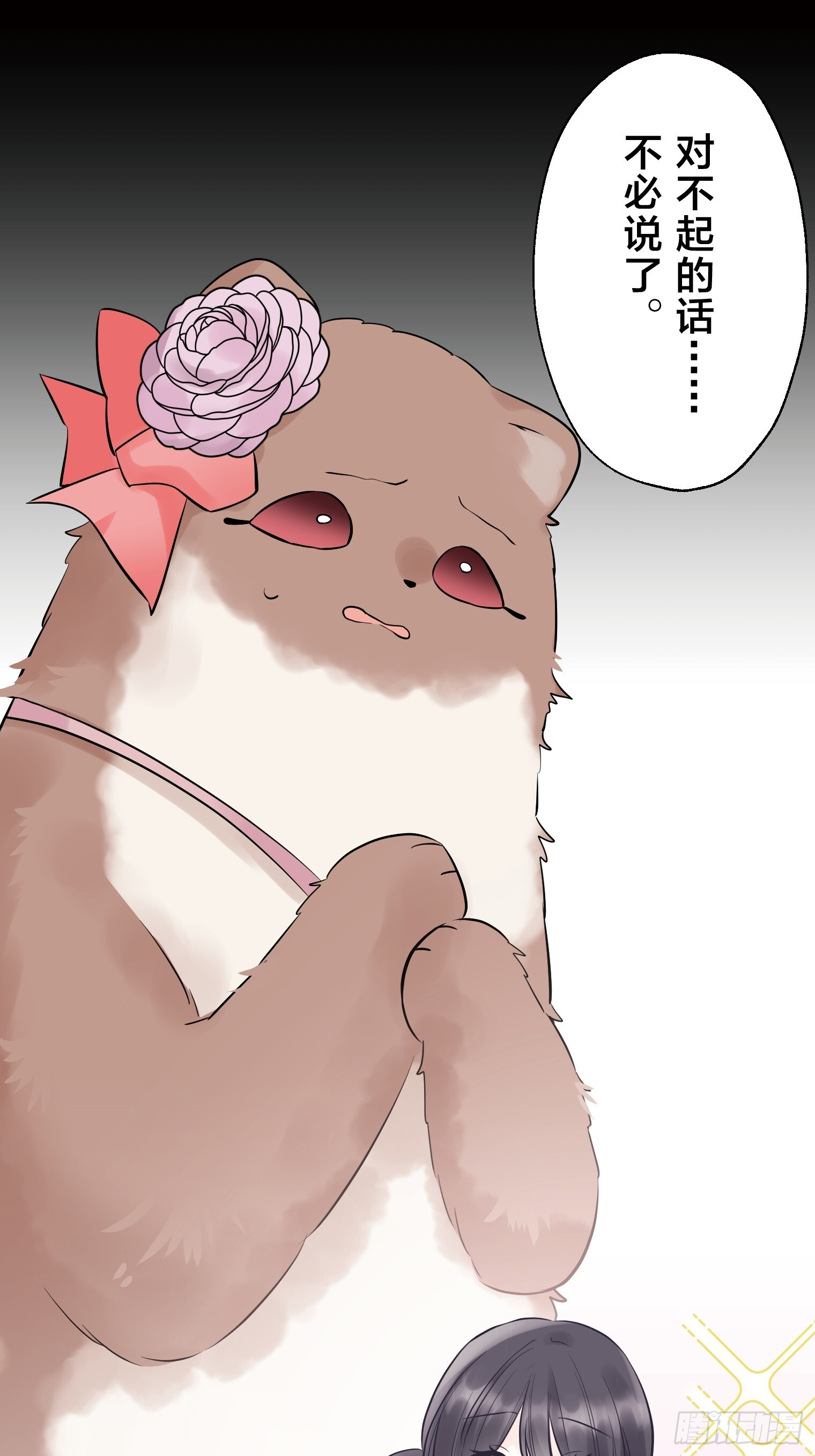 27 第14页