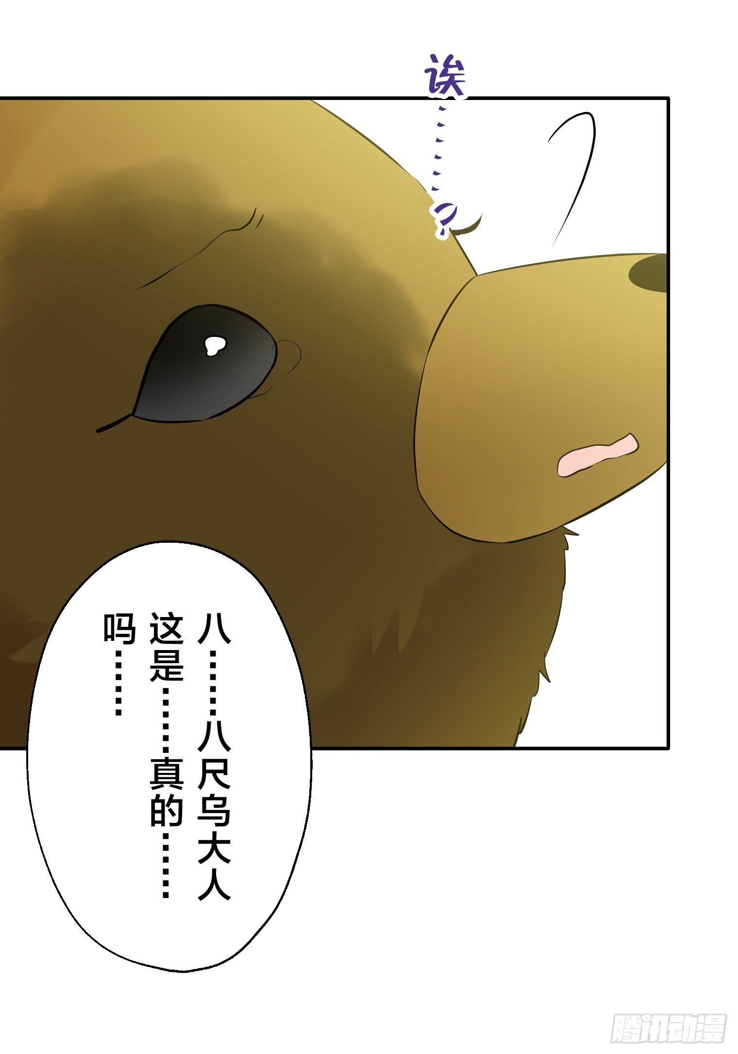 27 第24页