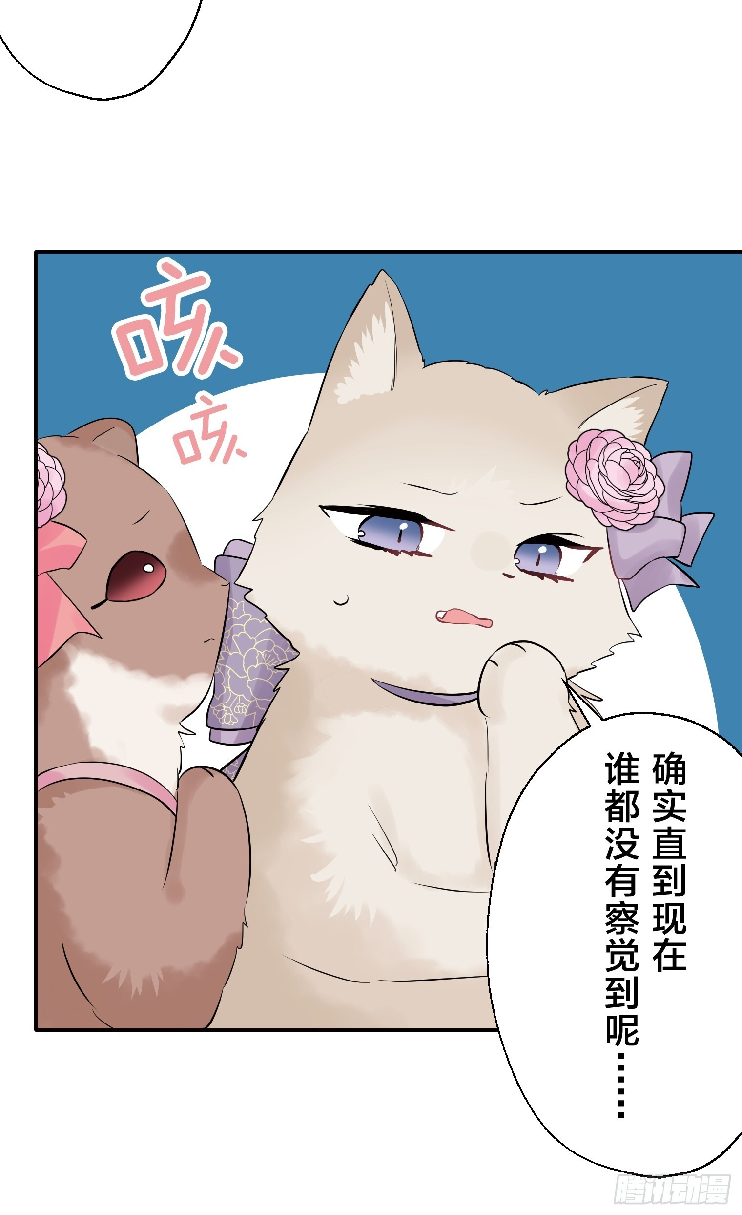 27 第31页