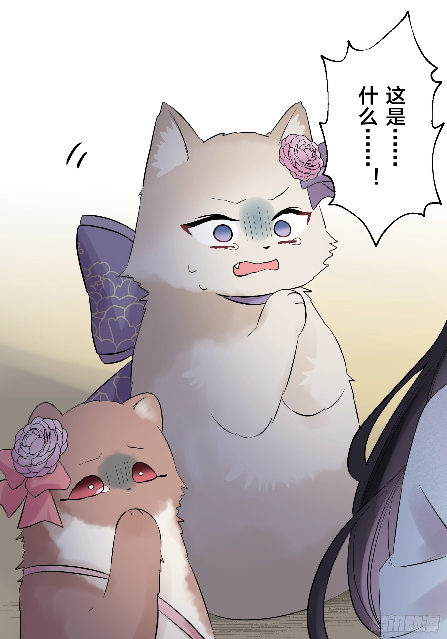 27 第40页