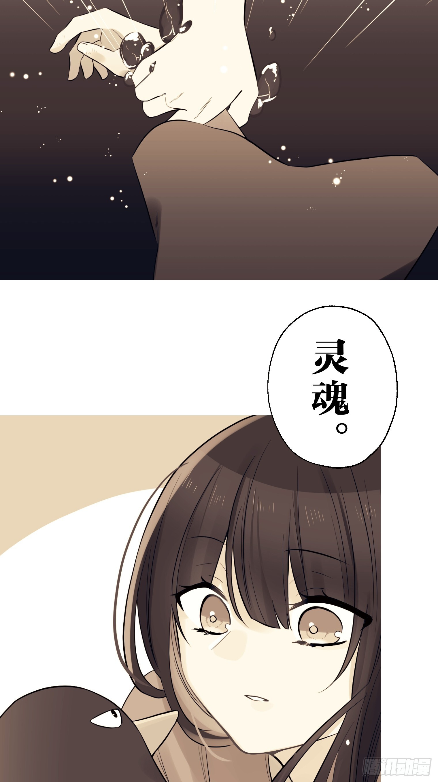 29 第17页