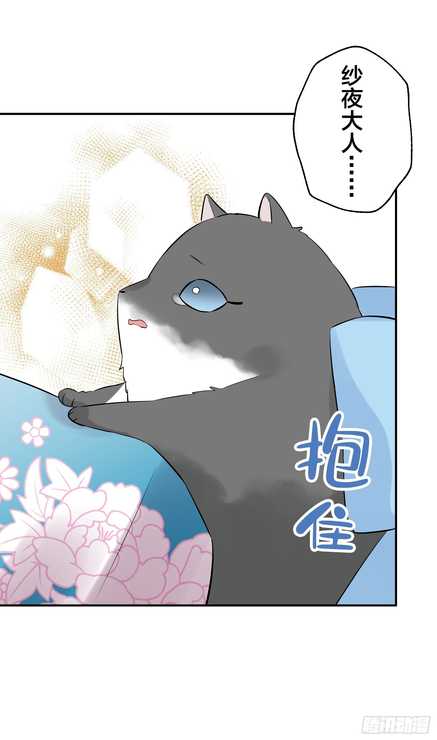29 第48页